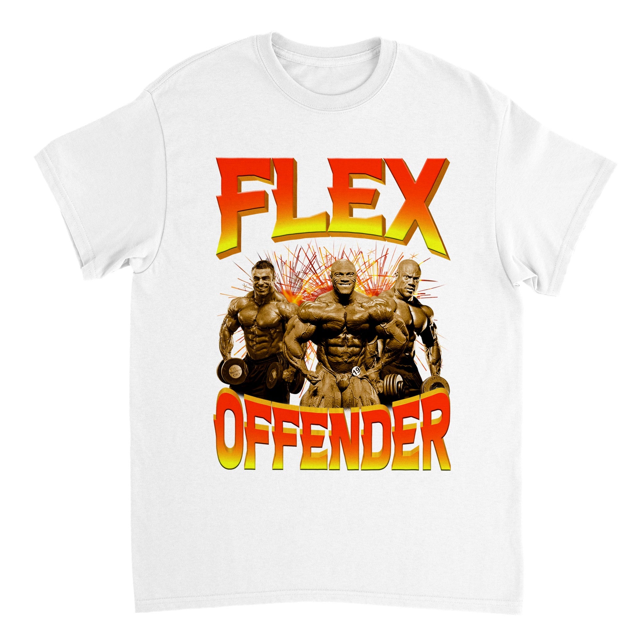 FLEX OFFENDER