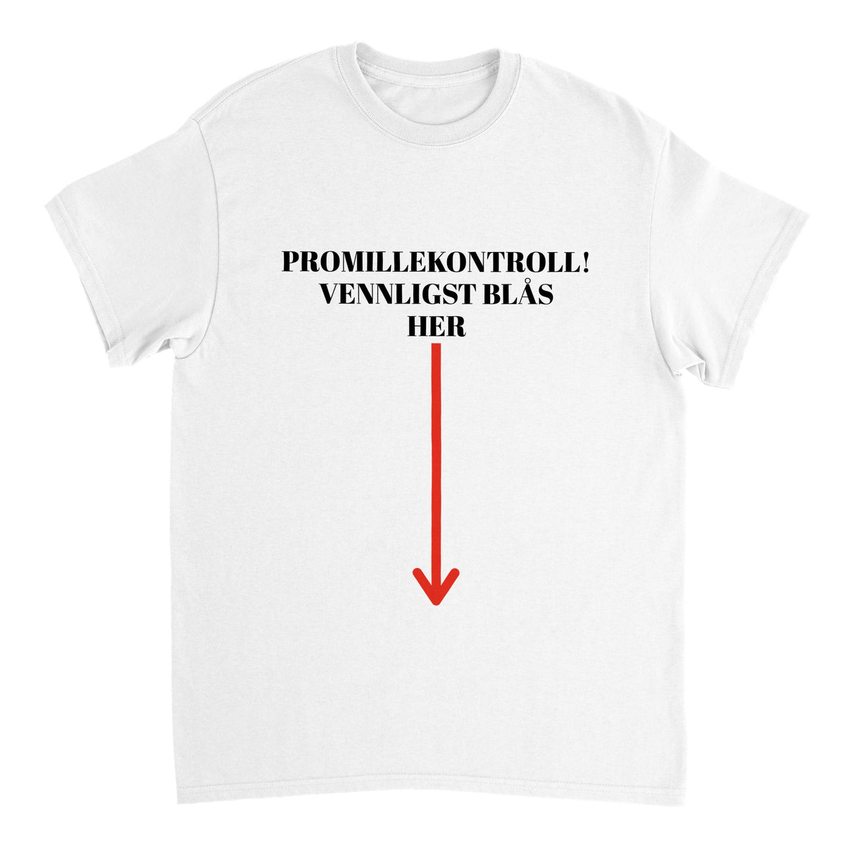 Promillekontroll