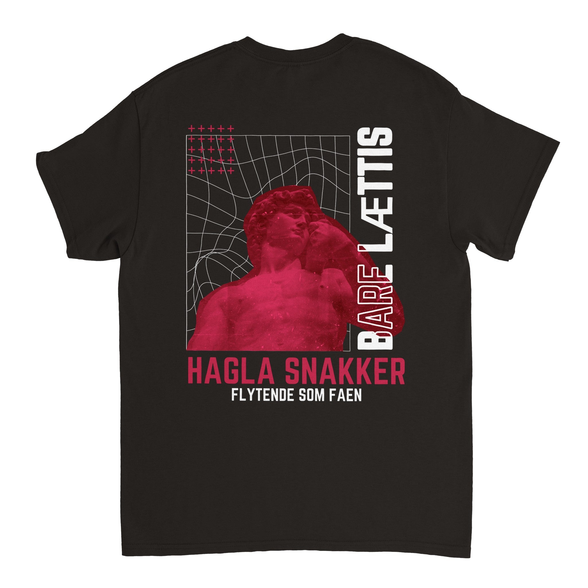 Hagla Snakker Flytende